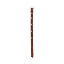 Friendly Pet Hondenriem<Halsband hond 50cm assorti