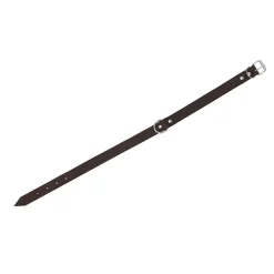 Friendly Pet Hondenriem<Halsband leder rondo 10mm 27cm
