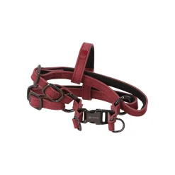 Flamingo Hondentuig<Harnas Delu rood XS 30-35cm 10mm