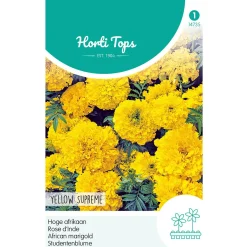 Horti Tops Moestuin<Hoge Afrikaan Yellow Supreme