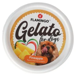 Flamingo Hondensnacks<Hondenijs Gelato ananas/banaan/framboos