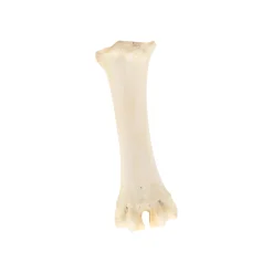 Smulti Hondensnacks<Hondensnack calcium been groot