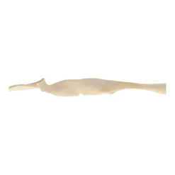 Smulti Hondensnacks<Hondensnack runderkophuid wit 70cm