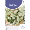 Horti Tops Moestuin<HT Anijs