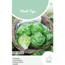 Horti Tops Moestuin<IJsbergsla Great Lakes