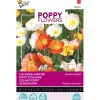 Buzzy Moestuin<IJslandse Papaver mix