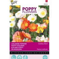Buzzy Moestuin<IJslandse Papaver mix