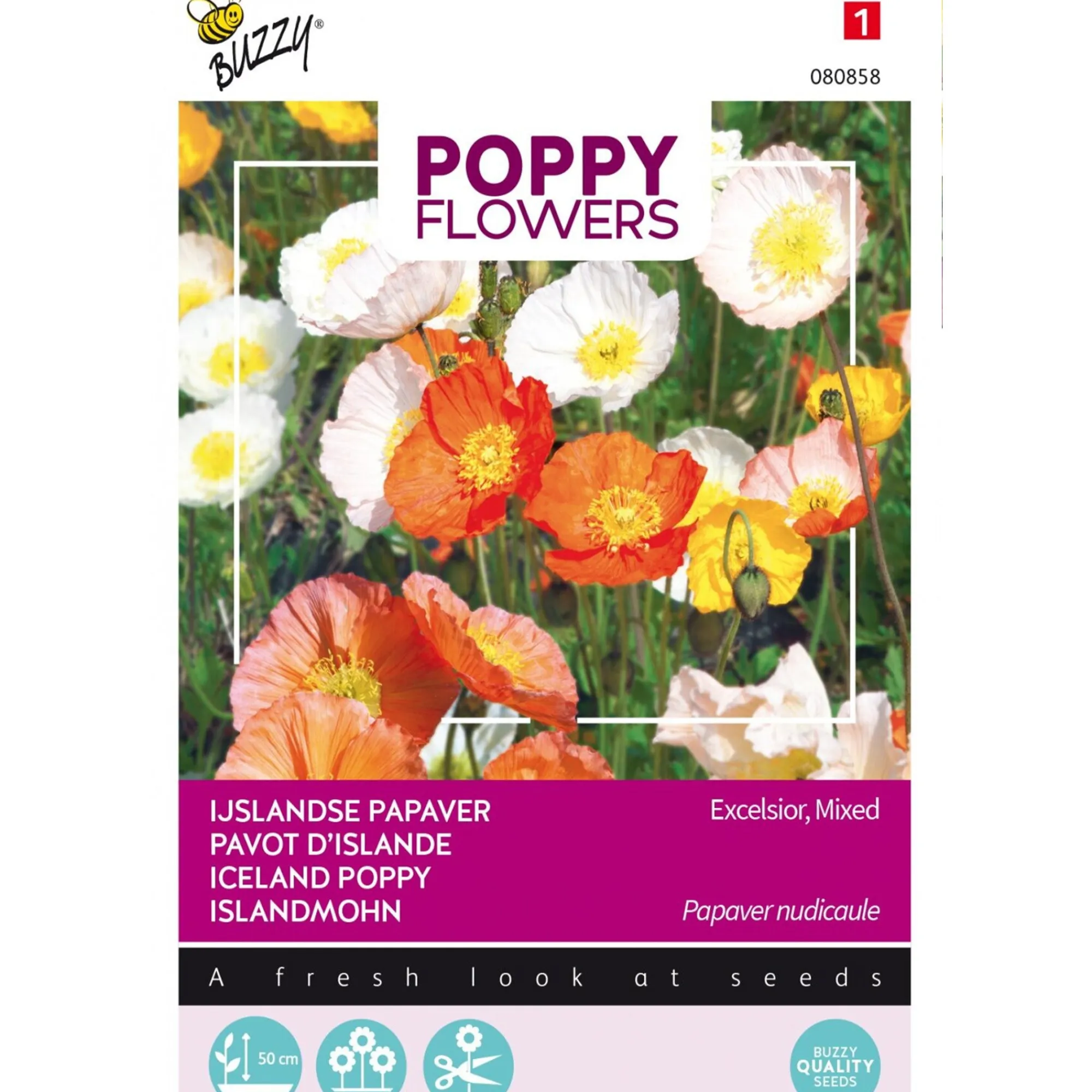 Buzzy Moestuin<IJslandse Papaver mix
