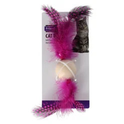 Friendly Pet Kattenspeeltjes<Kattenspeeltje bal + hout assorti