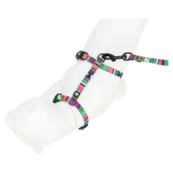 Friendly Pet Kattenverzorging<Kattentuig set jazz stripe eco FP
