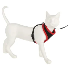 Friendly Pet Kattenverzorging<Kittentuig zwart/rood 10mmx110cm