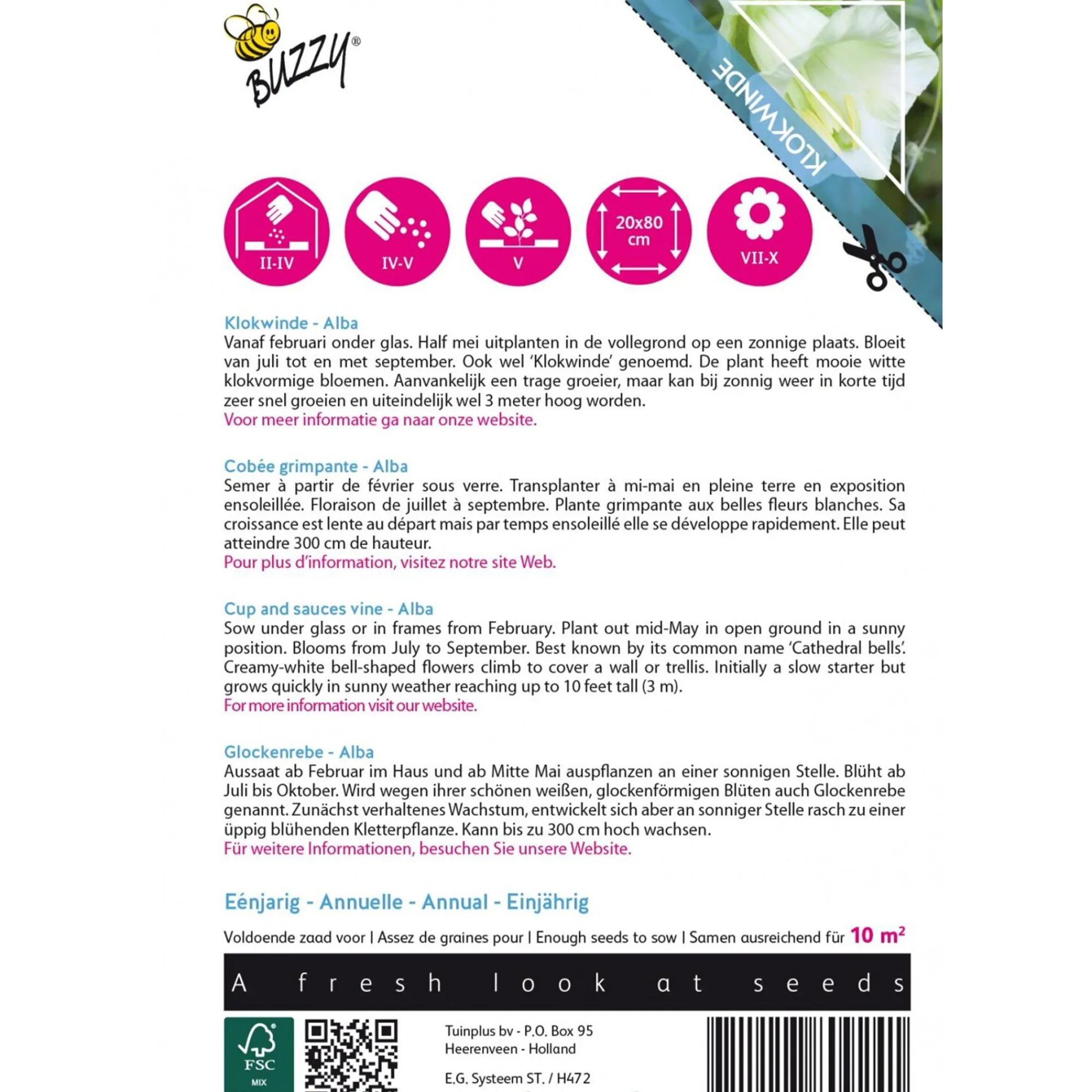 Buzzy Moestuin<Klokwinde Alba wit
