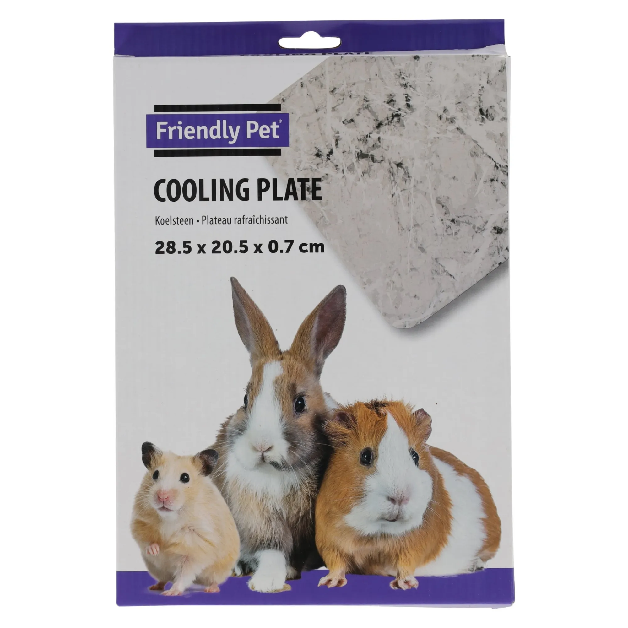 Friendly Pet Knaagdierverzorging<Koelsteen 28 x 20 cm
