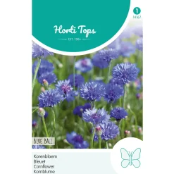 Horti Tops Moestuin<Korenbloem Blue Ball