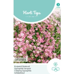 Horti Tops Moestuin<Kruipend Gipskruid roze