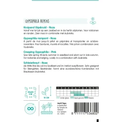 Horti Tops Moestuin<Kruipend Gipskruid roze