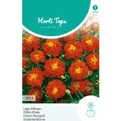 Horti Tops Moestuin<Lage Afrikaan Carmen