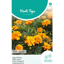 Horti Tops Moestuin<Lage Afrikaan Petite Orange