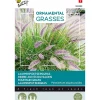 Buzzy Moestuin<Lampenpoetsersgras