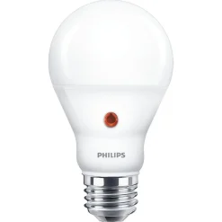 Philips Binnenverlichting<Lamp LED bol mat dag/nacht 60w E27