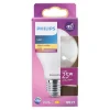 Philips Bouwlampen<Lamp LED peer mat 25W E27