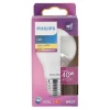 Philips Bouwlampen<Lamp LED peer mat 40W E27