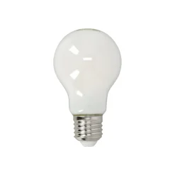 Philips Bouwlampen<Lamp LED peer mat 40W E27
