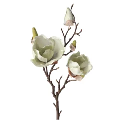 O'malley Kunstplanten En Kunstbloemen<Magnolia enkel 55 cm groen