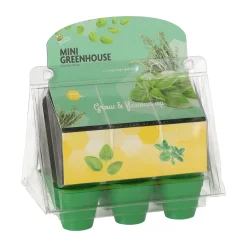 Buzzy Moestuin<Mini Greenhouse kitchen herbs 8