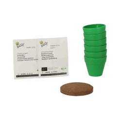Buzzy Moestuin<Mini Greenhouse kitchen herbs 8