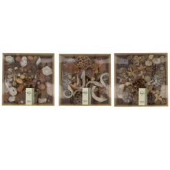 Natural Collections Woondecoratie<Mix exotisch naturel 25 x 25 x 7 cm