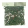 Natural Collections Woondecoratie<Mos groen 100g