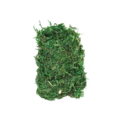 O'malley Kerstdorp<Mos groen 50G