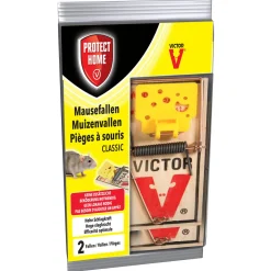 Protect Home Schoonmaken<Muizenval 2st.