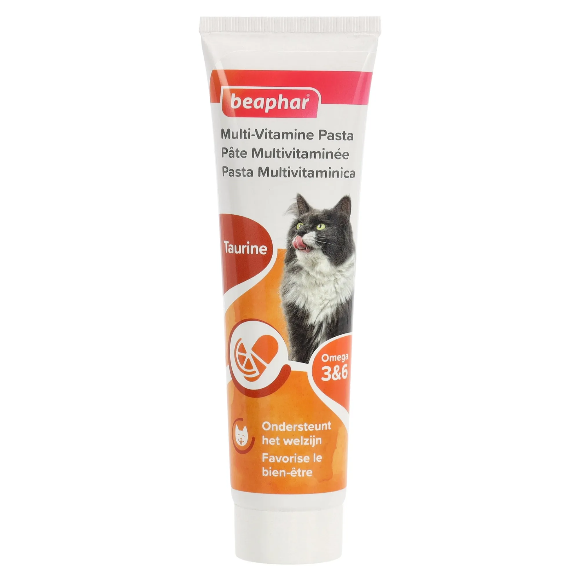 Beaphar Kattenverzorging<Multi-Vitamine Pasta 100g