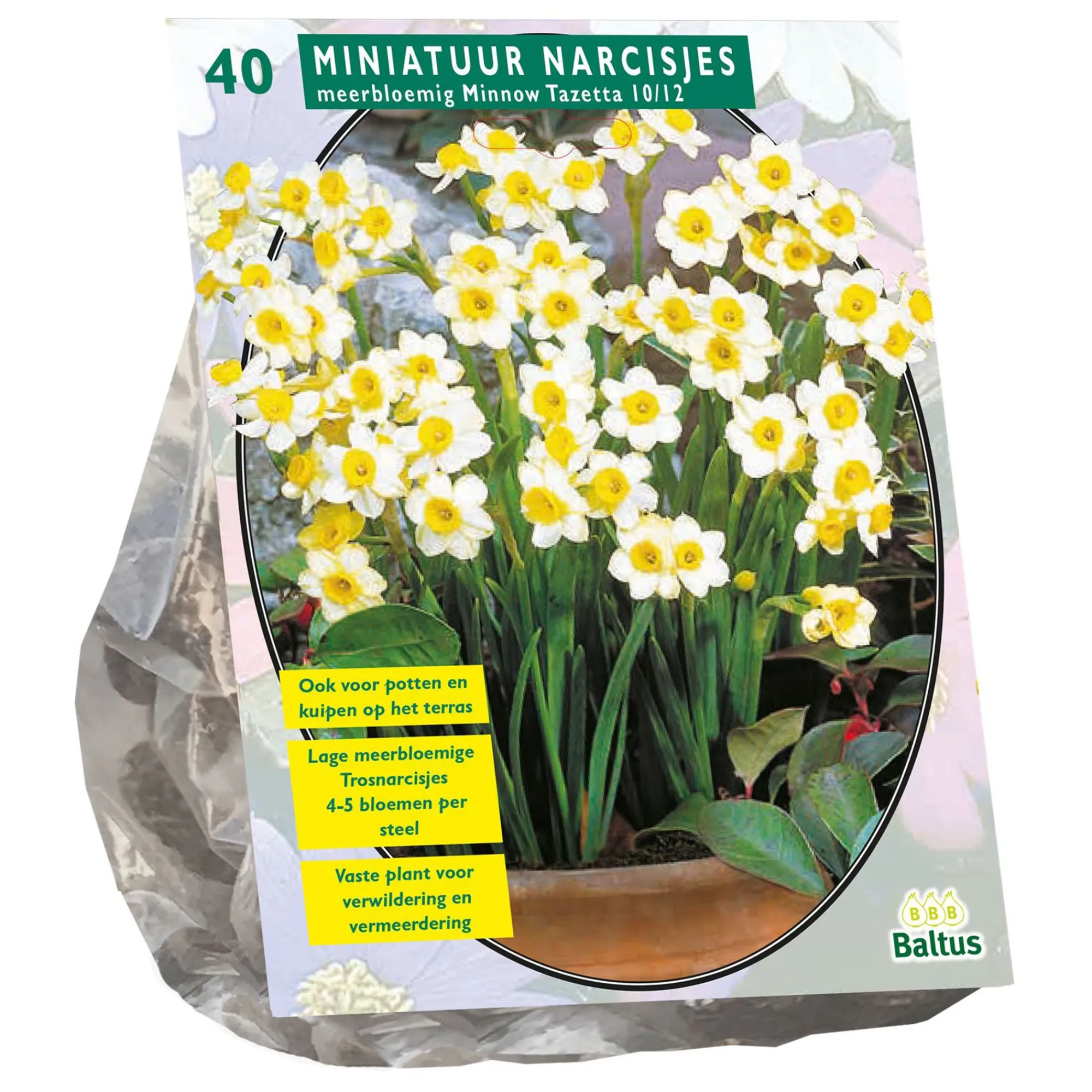 Baltus Bodemverbeteraars<Narcis Mini Minnow per 40