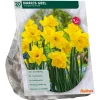 Baltus Bodemverbeteraars<Narcis Trompet Geel per 15