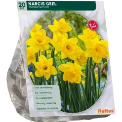 Baltus Bodemverbeteraars<Narcis Trompet Geel per 15