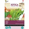 Buzzy Moestuin<Okra