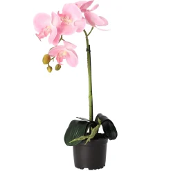 Natural Collections Kunstplanten En Kunstbloemen<Orchidee 38 cm roze