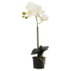 Natural Collections Kunstplanten En Kunstbloemen<Orchidee 38 cm wit