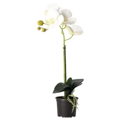 Natural Collections Kunstplanten En Kunstbloemen<Orchidee 38 cm wit