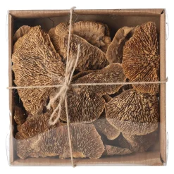 Natural Collections Woondecoratie<Paddenstoel deco naturel 120g