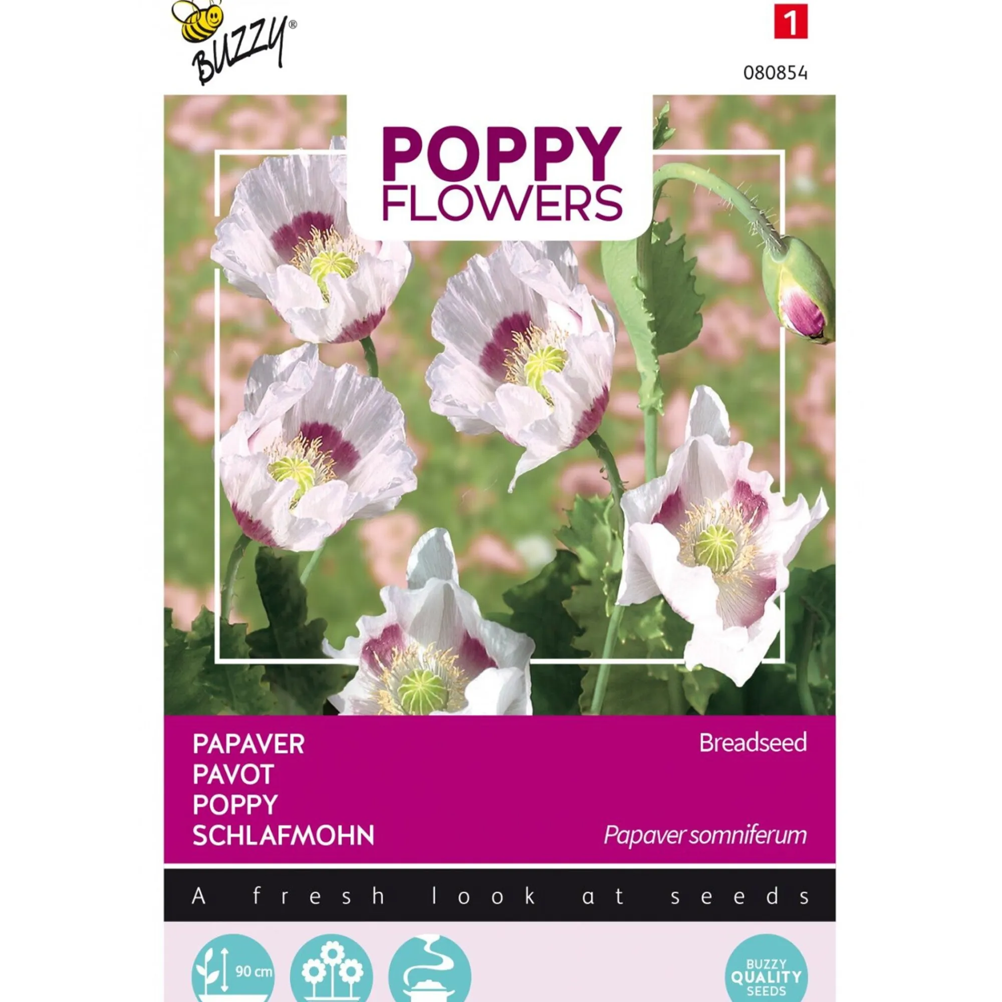 Buzzy Moestuin<Papaver Blauwmaanzaad