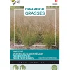 Buzzy Moestuin<Parelgras