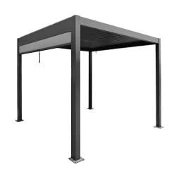 Bois le Duc Overkapping Tuin<Pergola Domo 3x3M