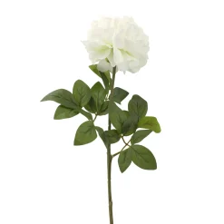 Everlands Kunstplanten En Kunstbloemen<Pioen creme 72 cm