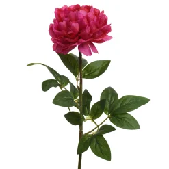 Everlands Kunstplanten En Kunstbloemen<Pioen fuchsia 72 cm