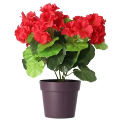 O'malley Kunstplanten En Kunstbloemen<Plant B 4 assorti