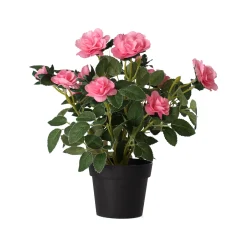 O'malley Kunstplanten En Kunstbloemen<Plant met roos, 3 assorti